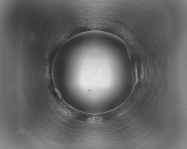 X0000073840700200608101230