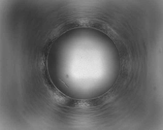 X0000073840702200608101230