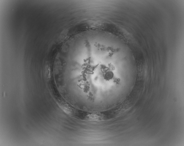 X0000073840703200608101230