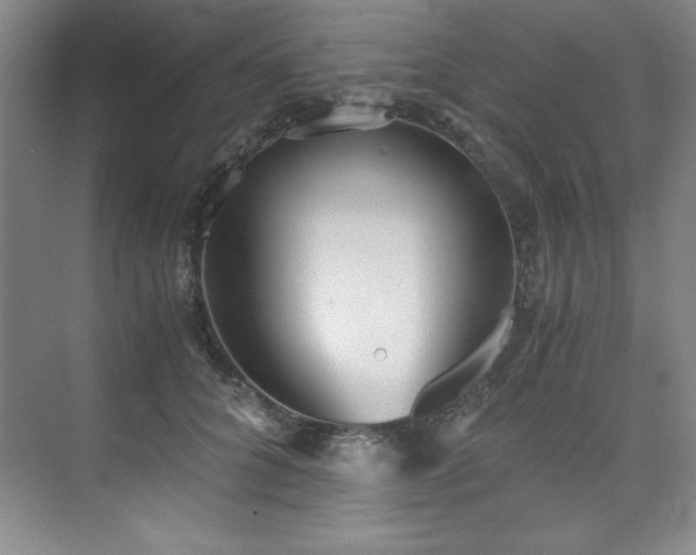 X0000073840704200608101230