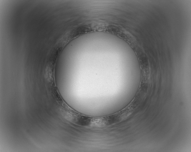 X0000073840705200608101230