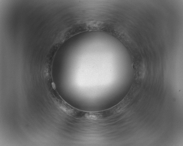 X0000073840706200608101230