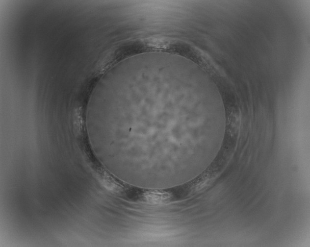 X0000073840707200608101229