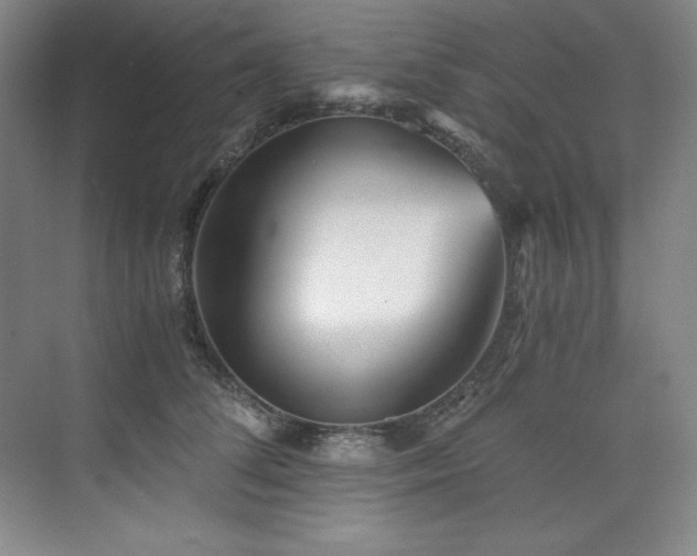 X0000073840708200608101229