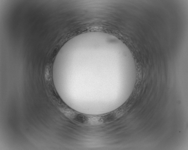 X0000073840709200608101229