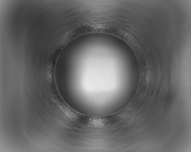 X0000073840710200608101229