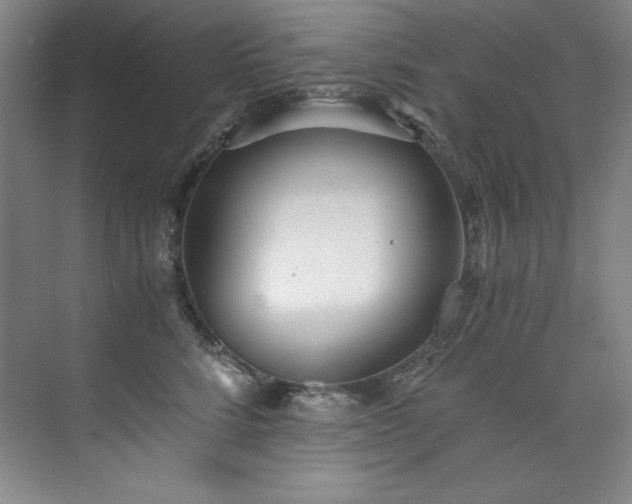 X0000073840712200608101229