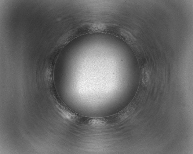 X0000073840714200608101229