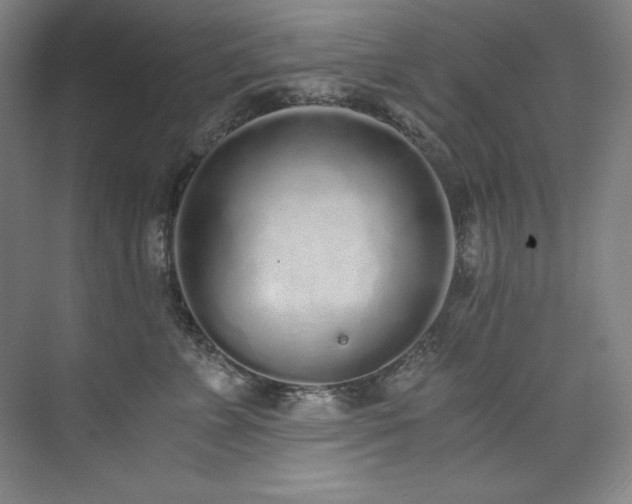 X0000073840715200608101229