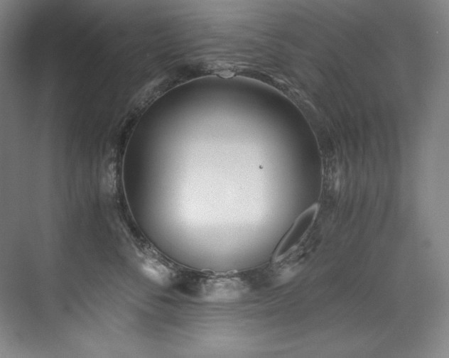 X0000073840716200608101229