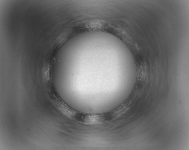 X0000073840717200608101229