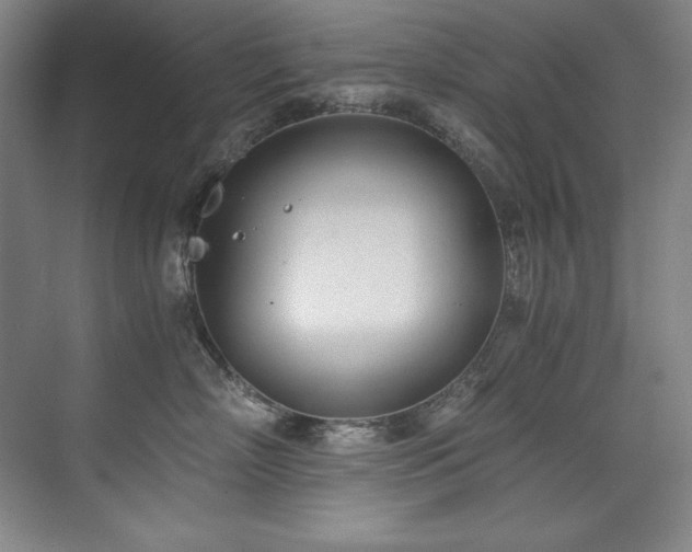 X0000073840718200608101229