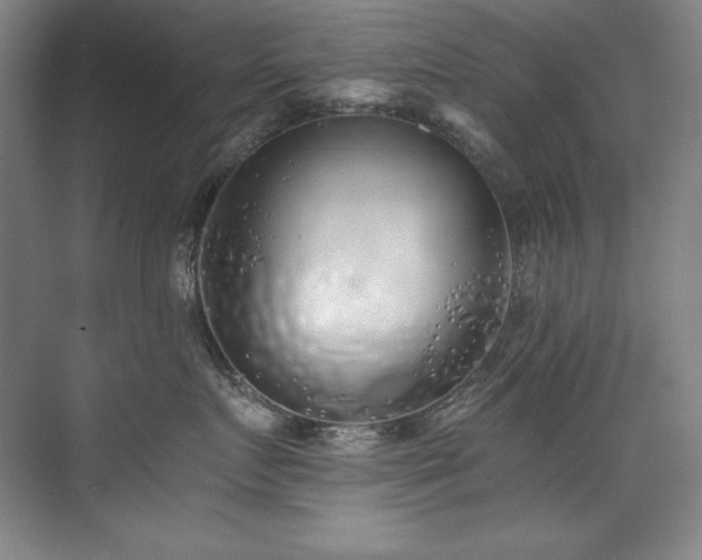 X0000073840719200608101229