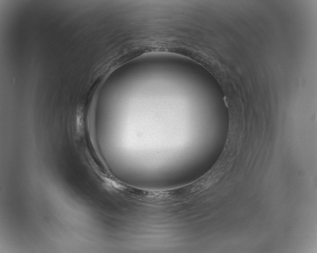 X0000073840720200608101229