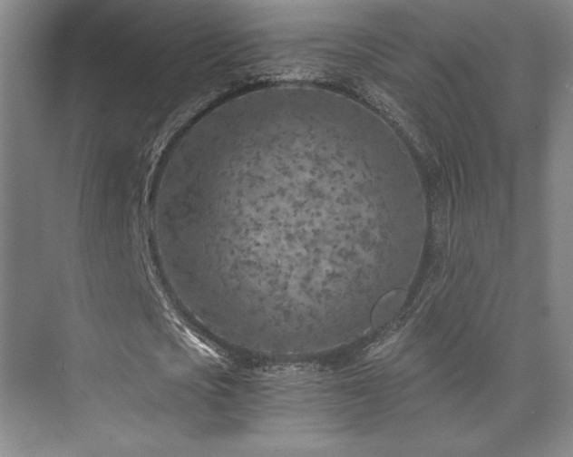 X0000073840721200608101228