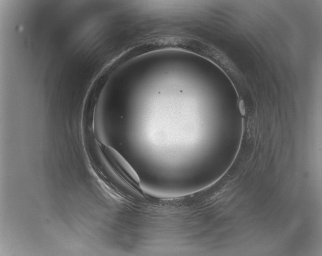 X0000073840722200608101228