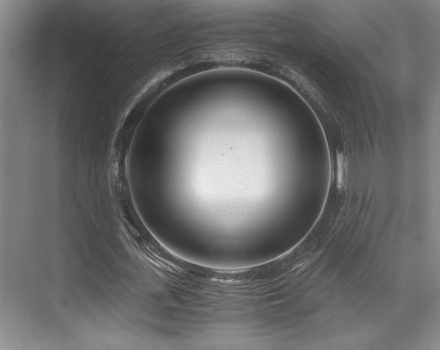 X0000073840723200608101228