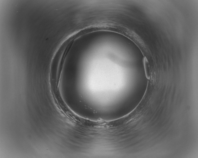 X0000073840724200608101229