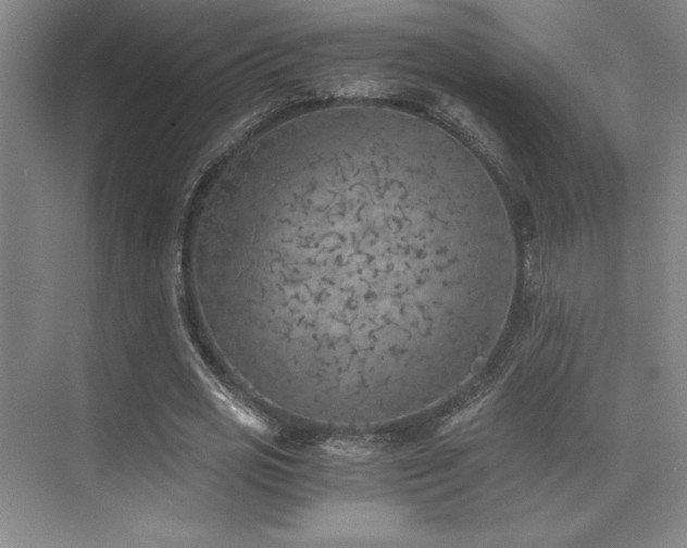 X0000073840725200608101229