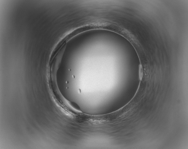 X0000073840726200608101229