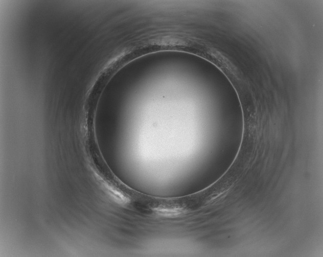 X0000073840727200608101229