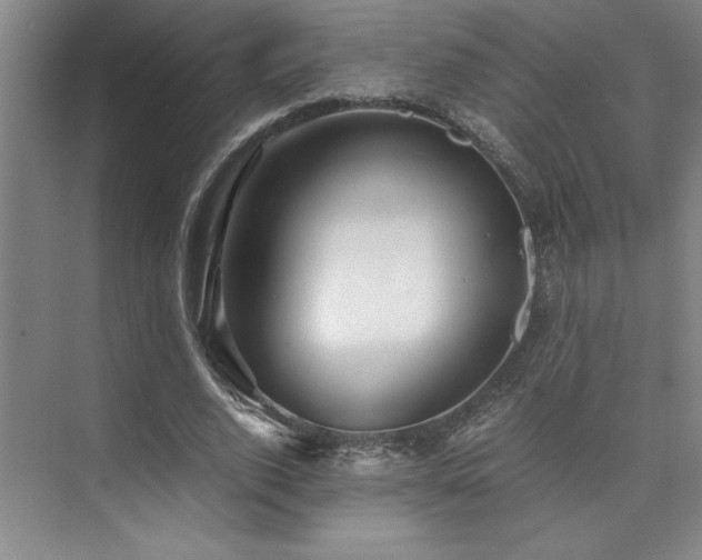 X0000073840728200608101229