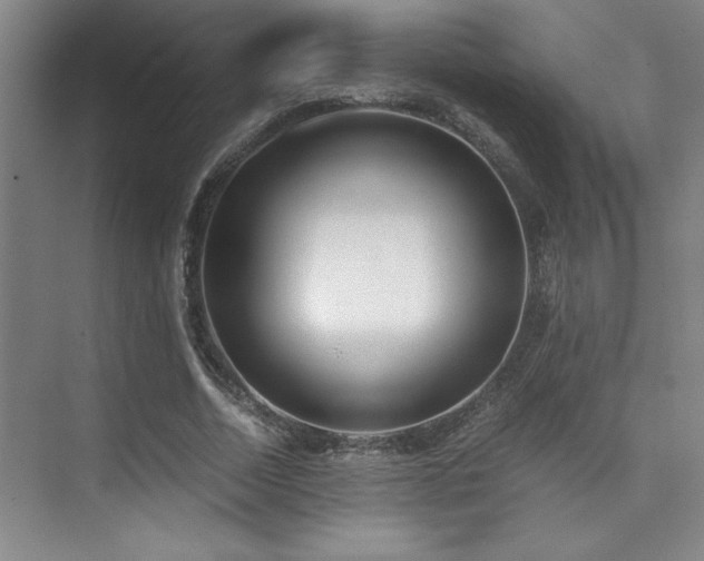 X0000073840730200608101229