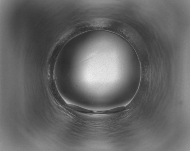 X0000073840731200608101229