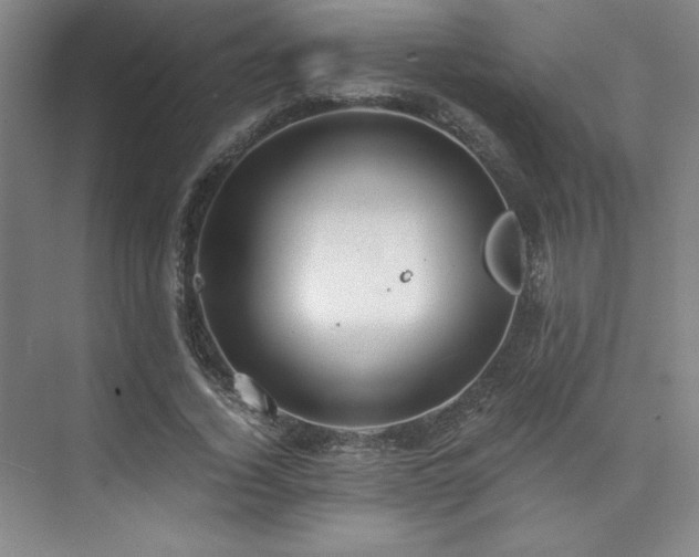 X0000073840732200608101229