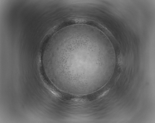 X0000073840733200608101229