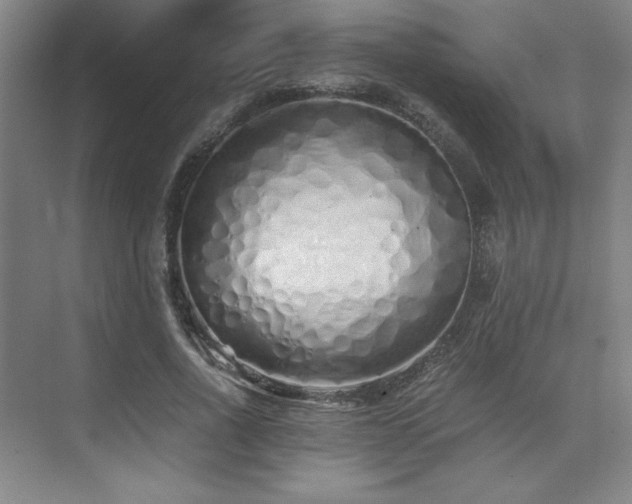 X0000073840734200608101229