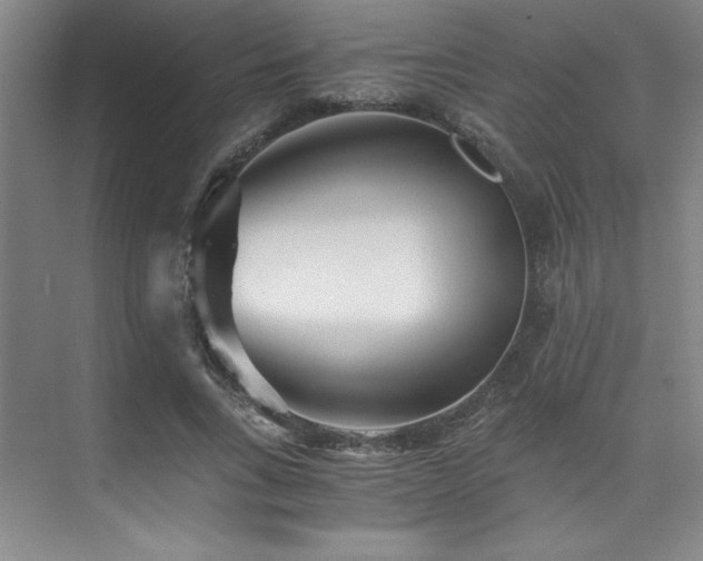 X0000073840735200608101229