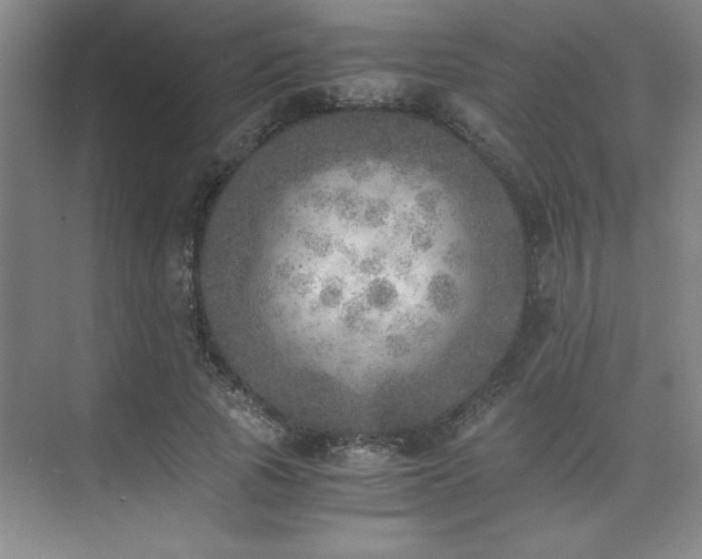 X0000073840737200608101229