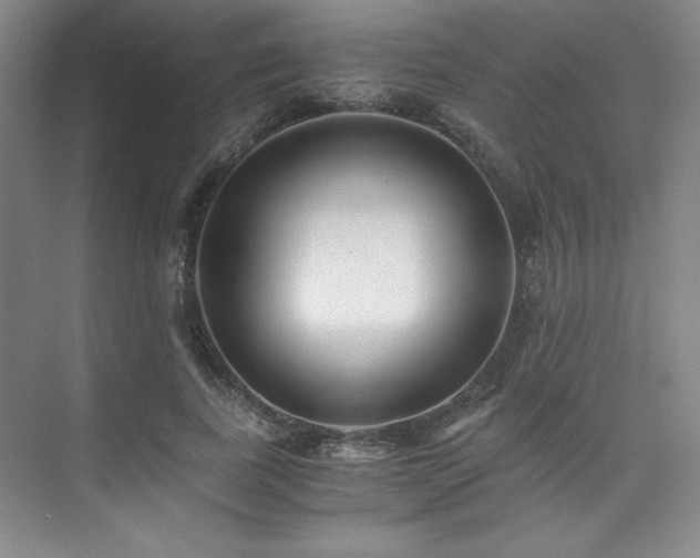 X0000073840739200608101229