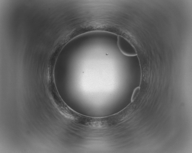 X0000073840740200608101229