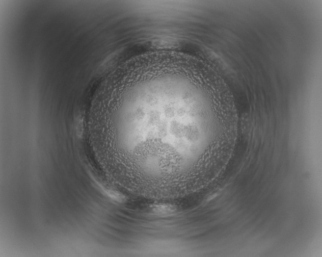 X0000073840741200608101229