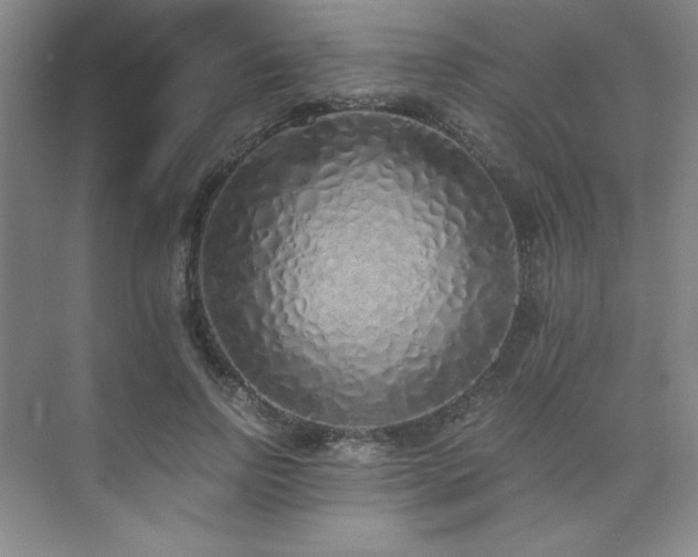 X0000073840742200608101229