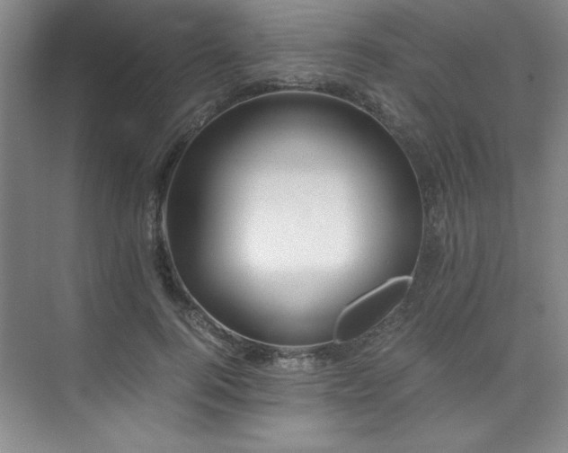 X0000073840744200608101229