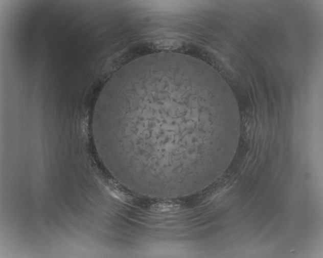 X0000073840745200608101229