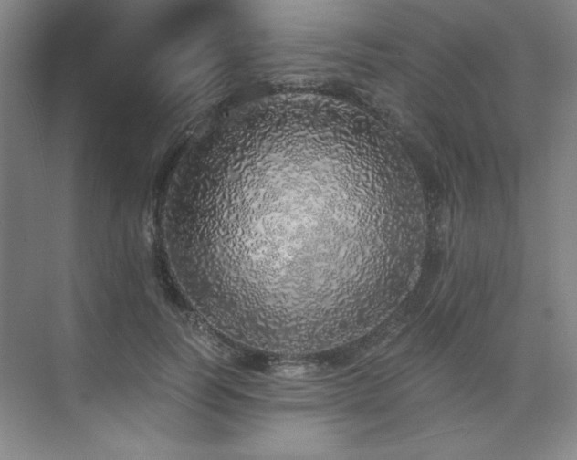 X0000073840746200608101229