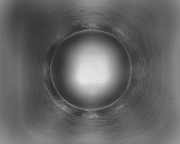 X0000073840747200608101229