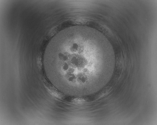 X0000073840749200608101229