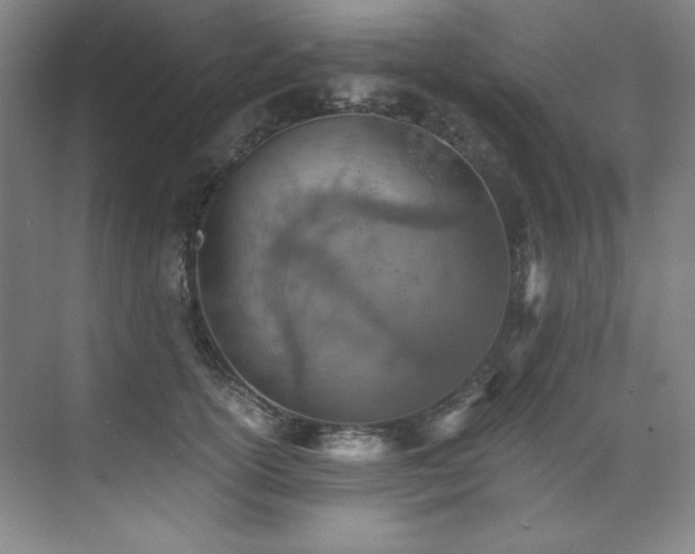 X0000073840754200608101229