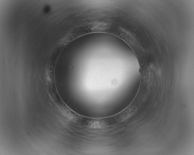 X0000073840755200608101229