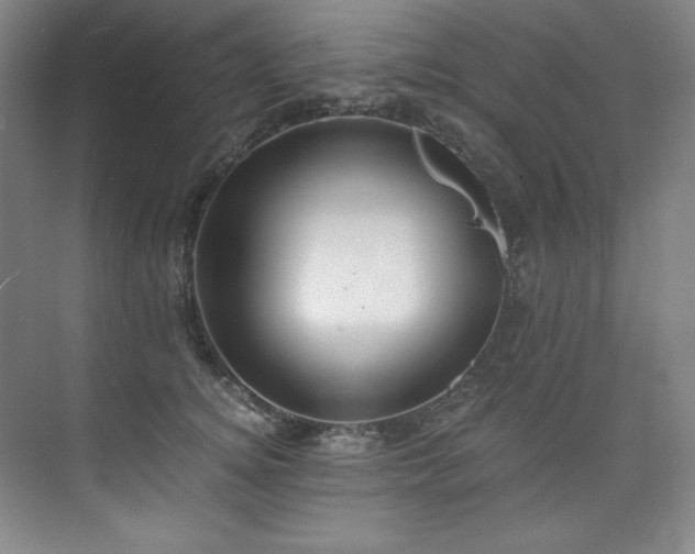 X0000073840756200608101229