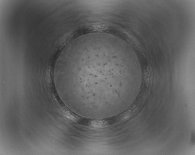 X0000073840757200608101229