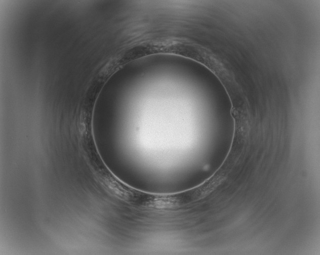 X0000073840758200608101229