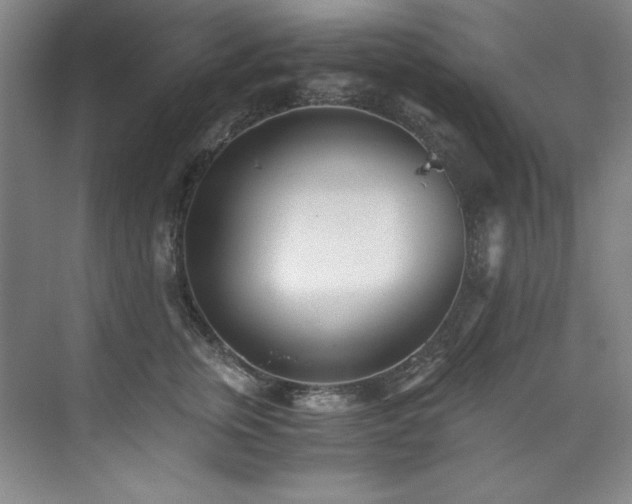 X0000073840759200608101229