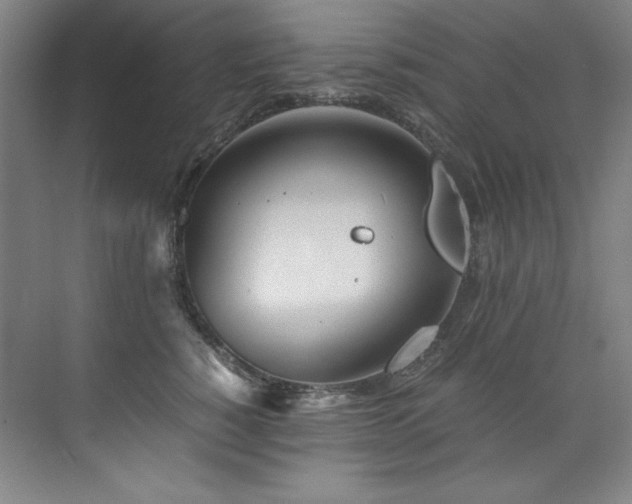 X0000073840760200608101229