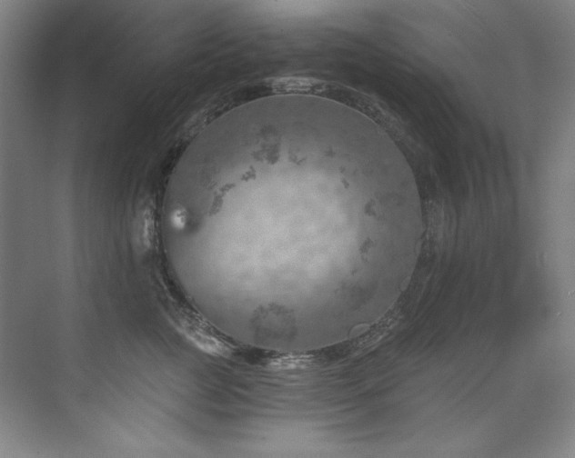 X0000073840761200608101229